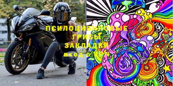 крисы Алексеевка